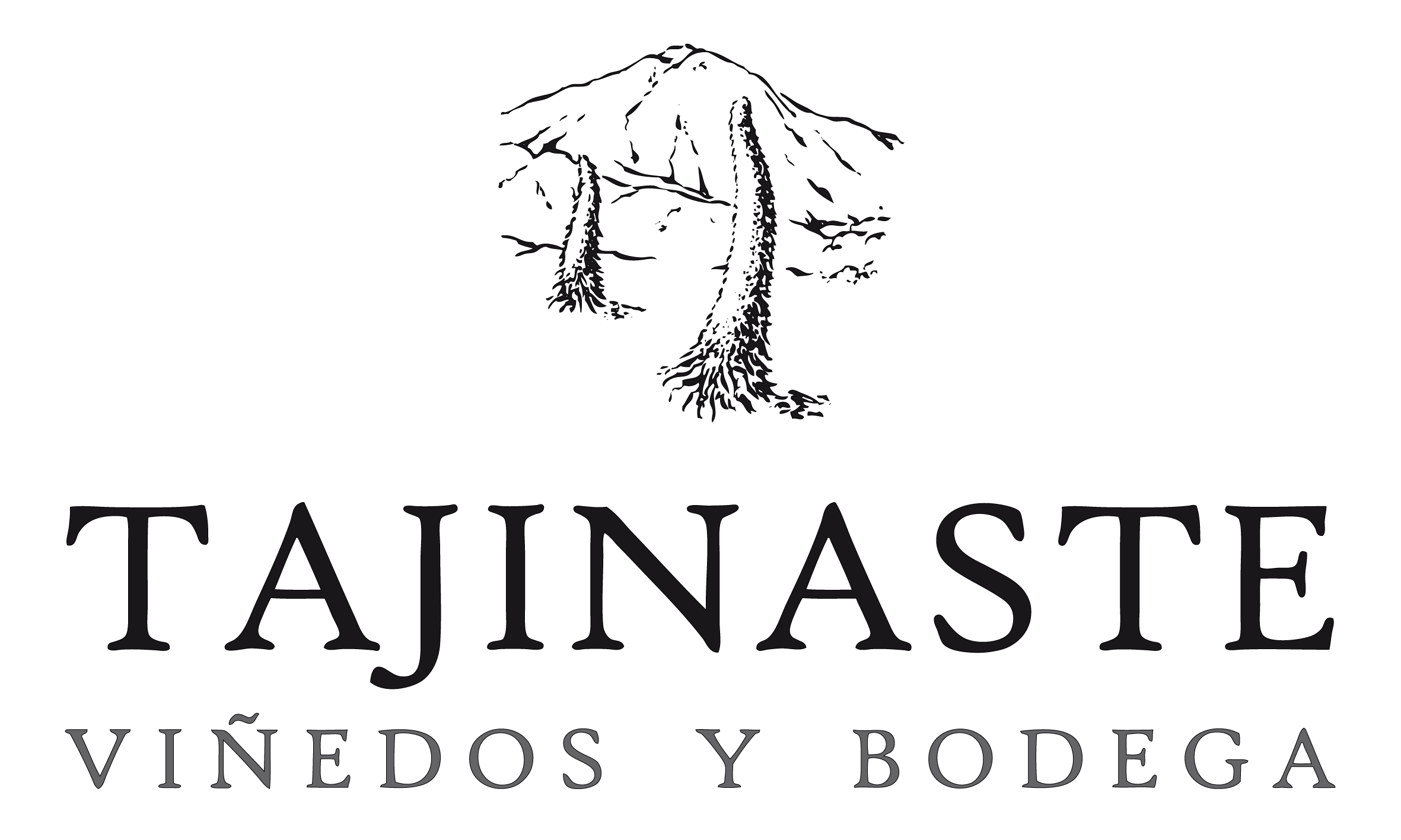 logo BODEGAS TAJINASTE